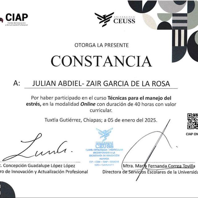 Ampliar imagen: certificate 5