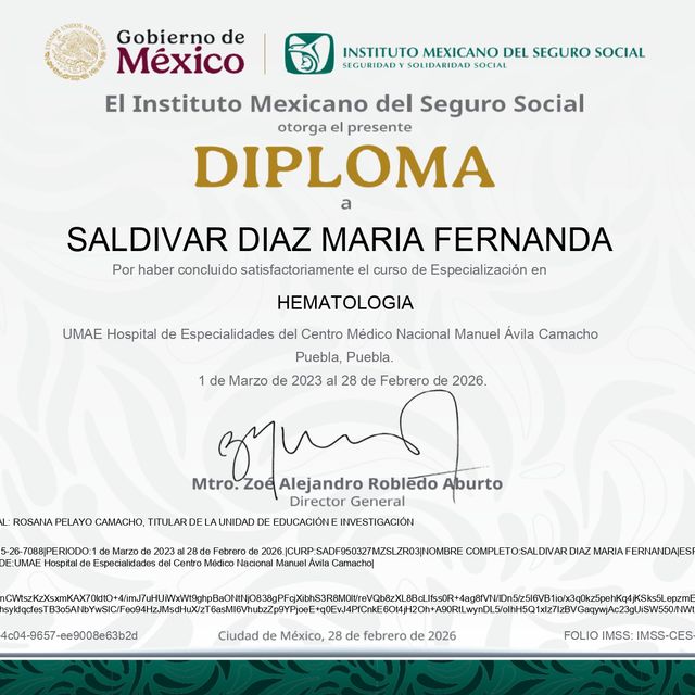 Ampliar imagen: certificate 1