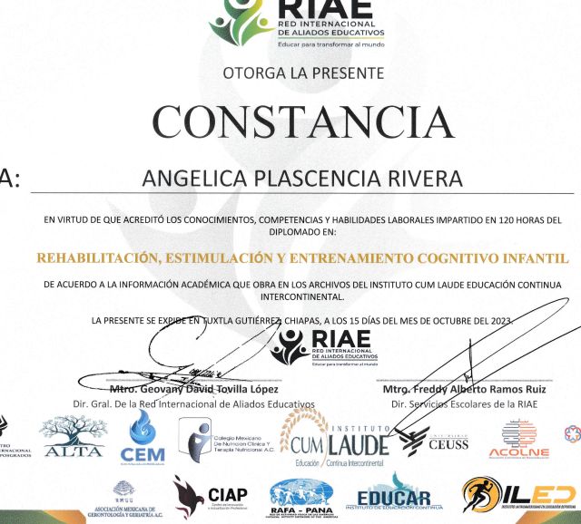 Ampliar imagen: certificate 2