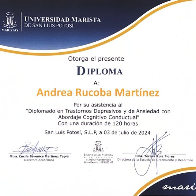 Ampliar imagen: certificate 3