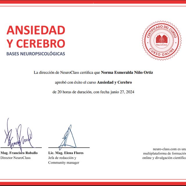 Ampliar imagen: certificate 8