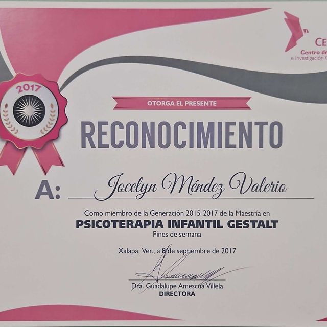 Ampliar imagen: certificate 6