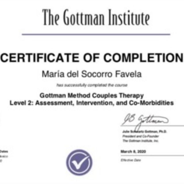 Ampliar imagen: certificate 9