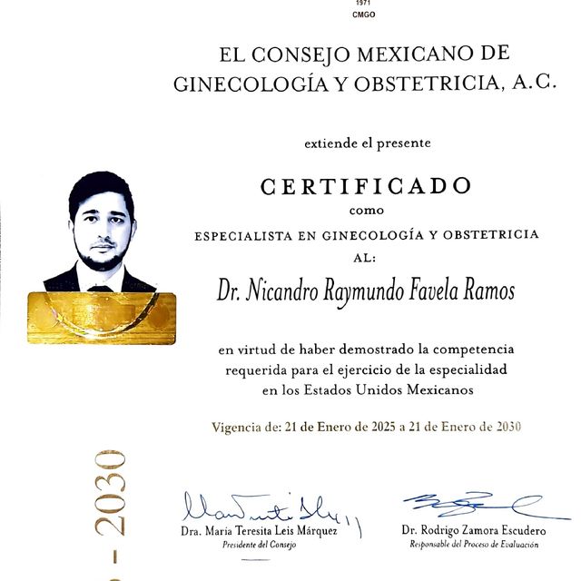 Ampliar imagen: certificate 1