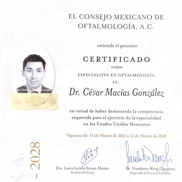 Ampliar imagen: certificate 1