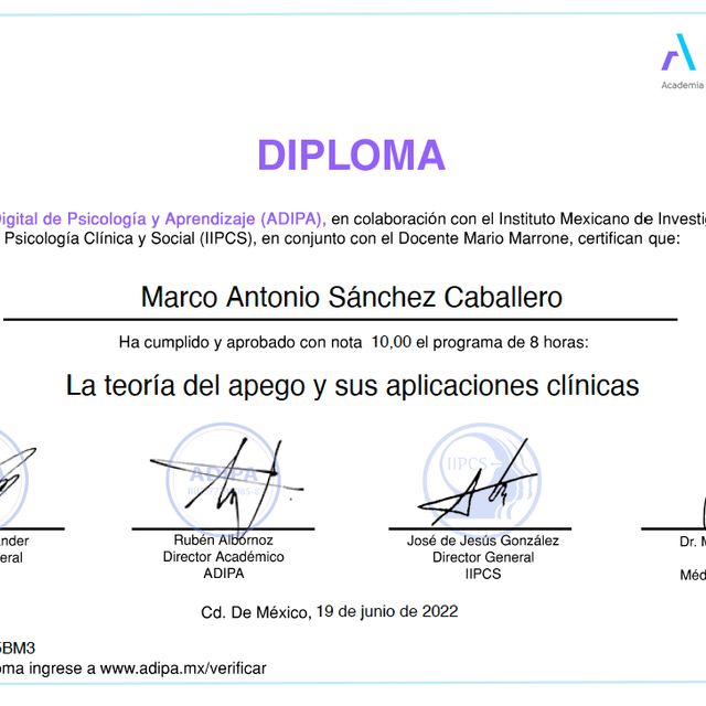 Ampliar imagen: certificate 9