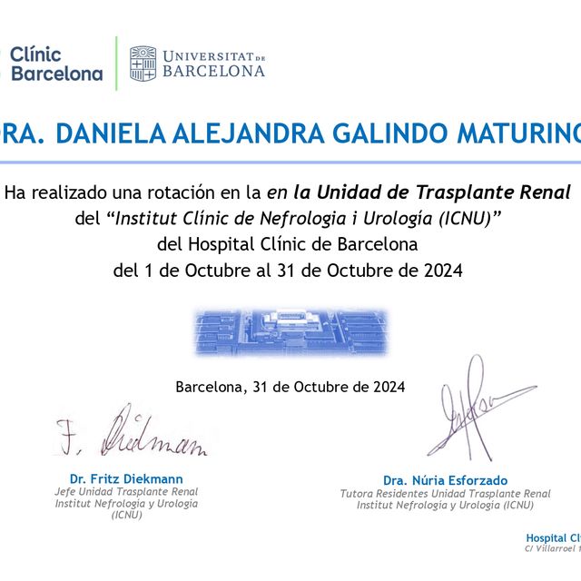 Ampliar imagen: certificate 2
