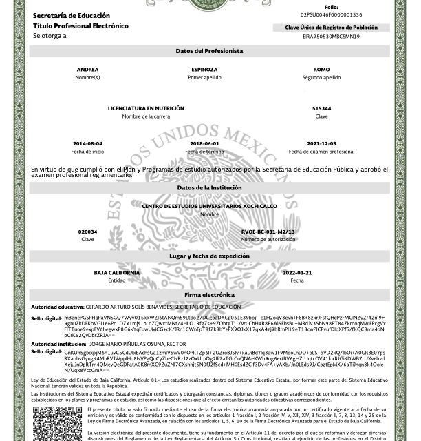 Ampliar imagen: certificate 4