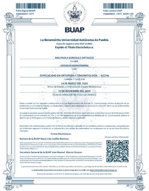 Ampliar imagen: certificate 2