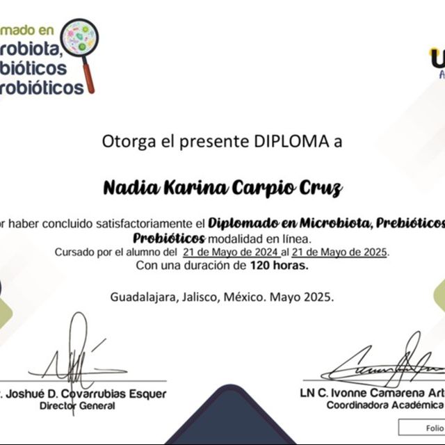 Ampliar imagen: certificate 1