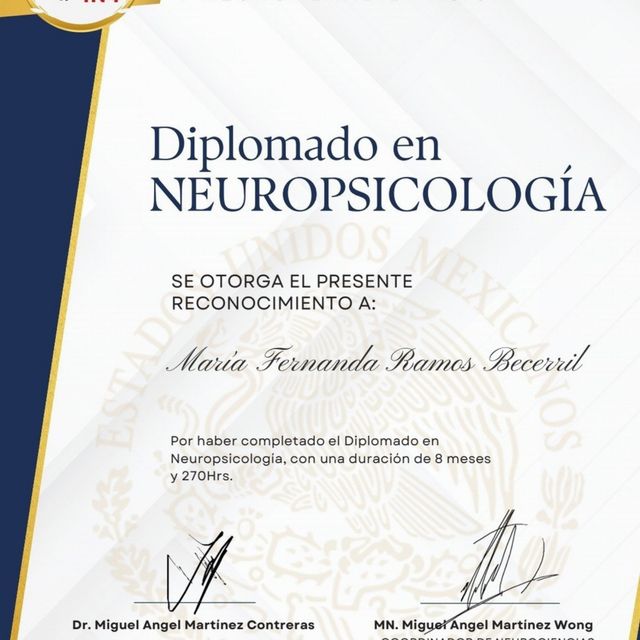 Ampliar imagen: certificate 3