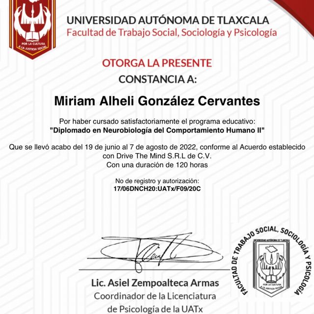Ampliar imagen: certificate 19