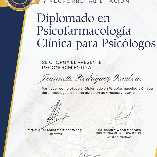 Ampliar imagen: certificate 3