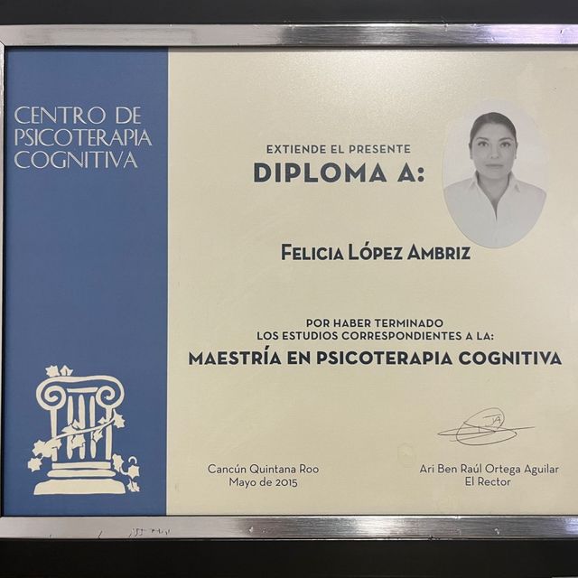 Ampliar imagen: certificate 1