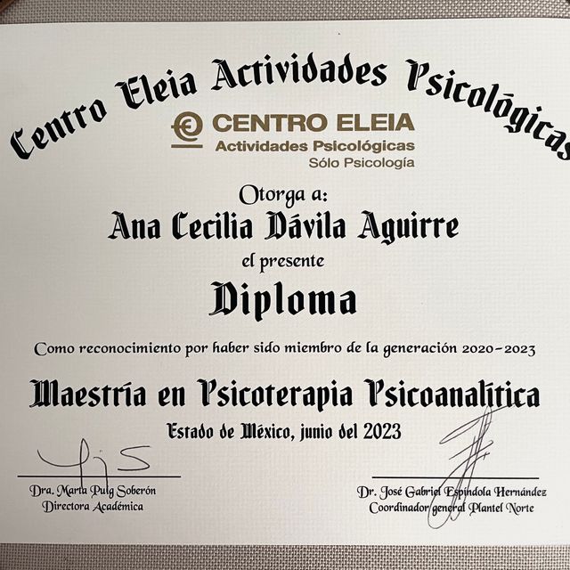 Ampliar imagen: certificate 2