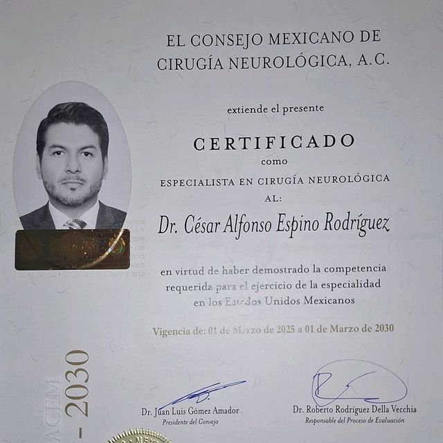 Ampliar imagen: certificate 1