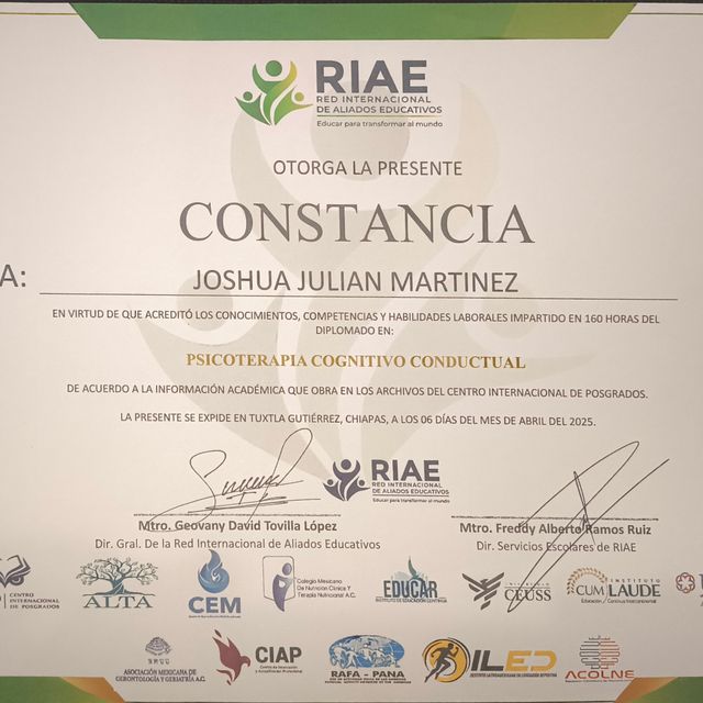 Ampliar imagen: certificate 1