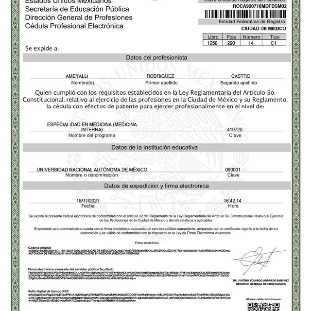 Ampliar imagen: certificate 3