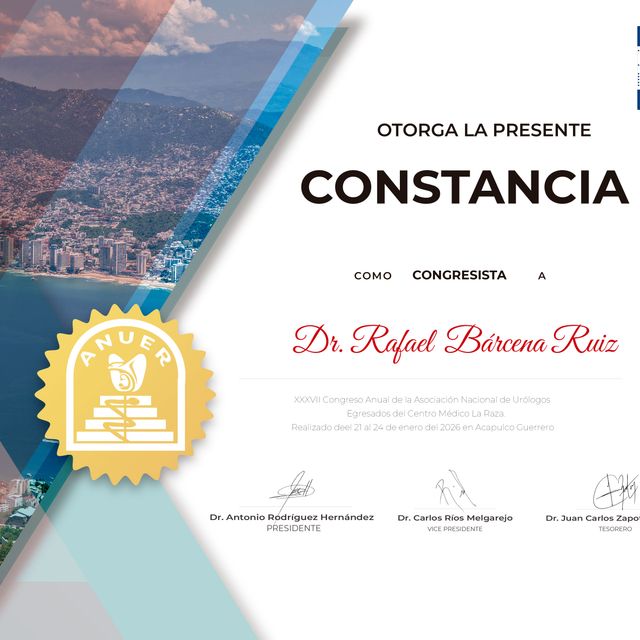 Ampliar imagen: certificate 5