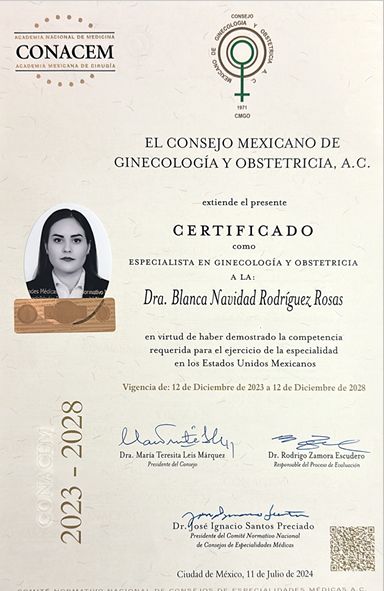Ampliar imagen: certificate 3