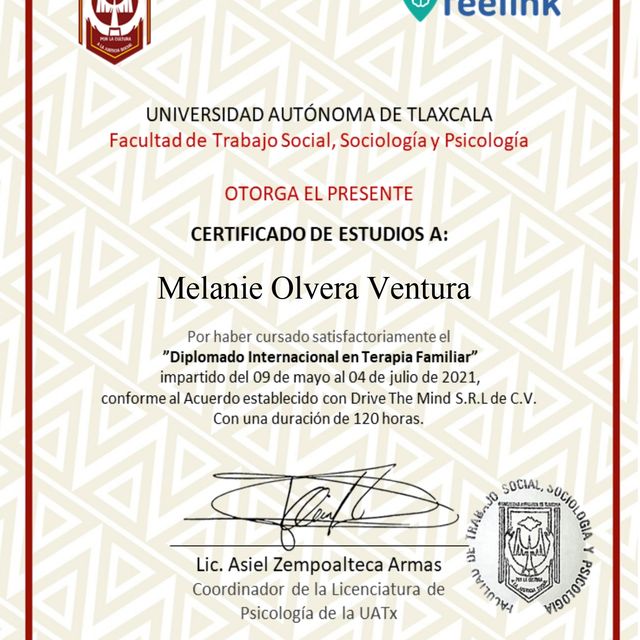 Ampliar imagen: certificate 5