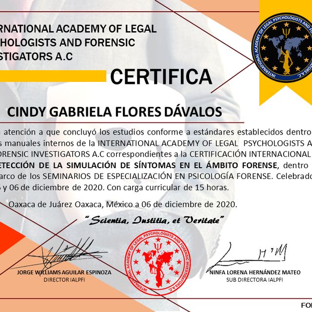 Ampliar imagen: certificate 9