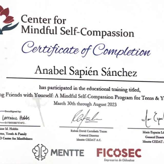 Ampliar imagen: certificate 1