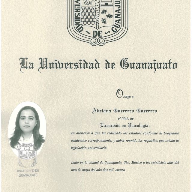 Ampliar imagen: certificate 1