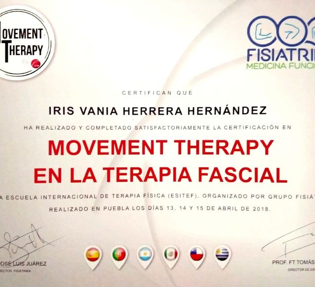 Ampliar imagen: certificate 8