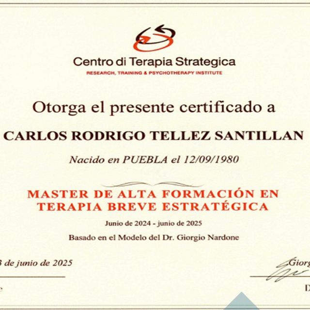 Ampliar imagen: certificate 1