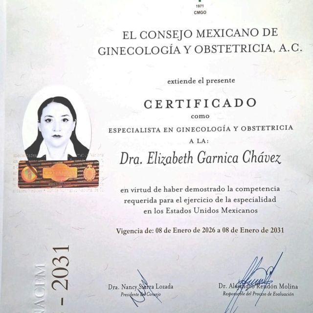 Ampliar imagen: certificate 3
