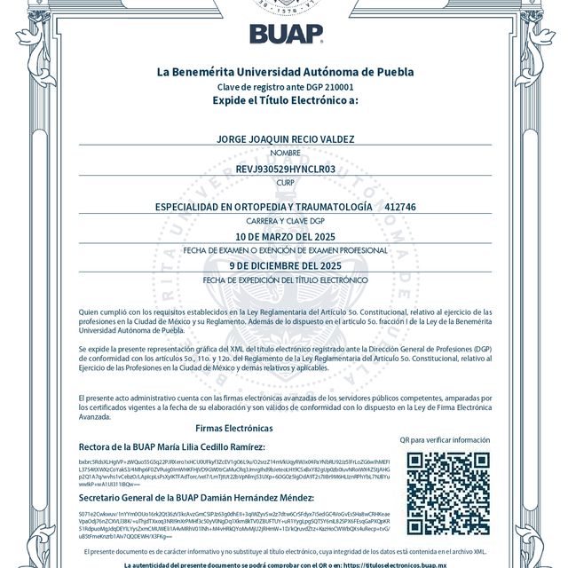 Ampliar imagen: certificate 3