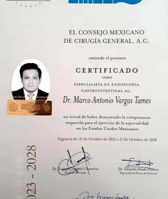 Ampliar imagen: certificate 3