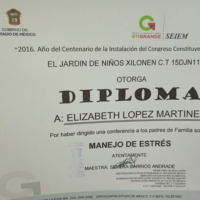 Ampliar imagen: certificate 7