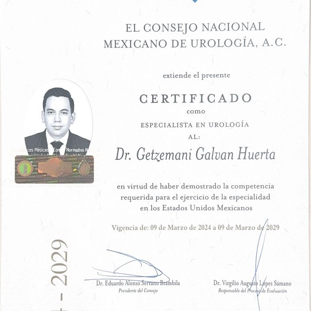 Ampliar imagen: certificate 1