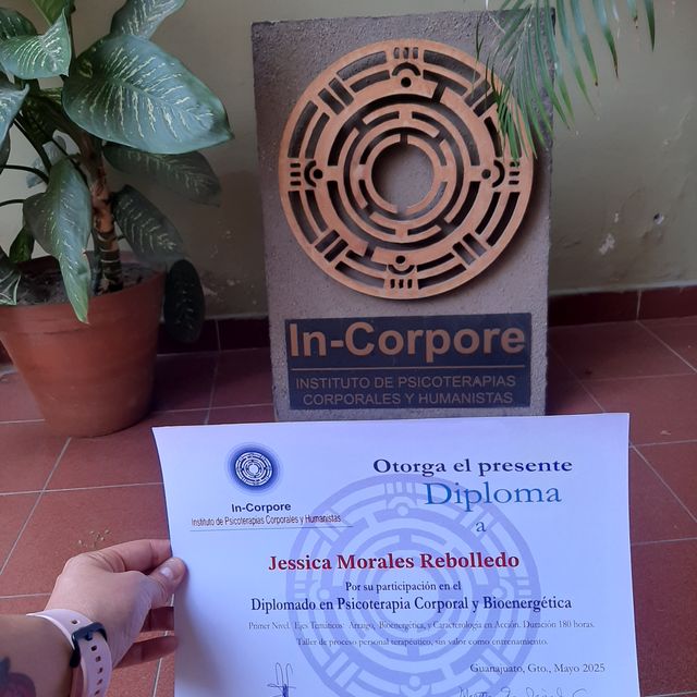 Ampliar imagen: certificate 26