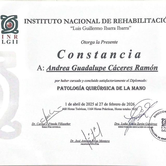 Ampliar imagen: certificate 3