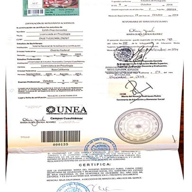 Ampliar imagen: certificate 2