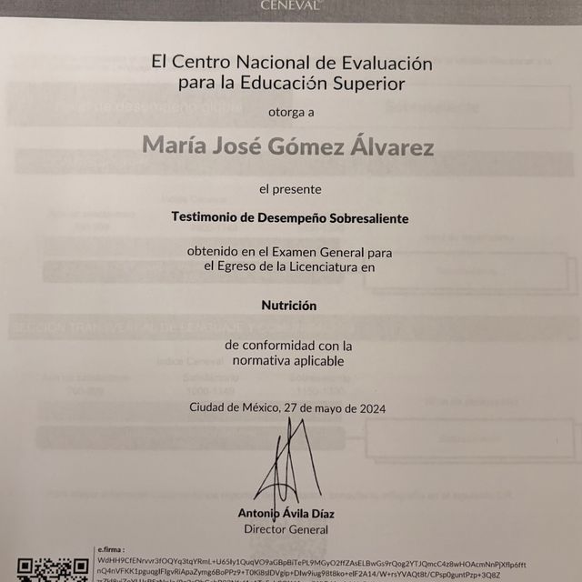 Ampliar imagen: certificate 2