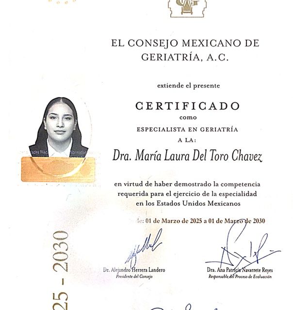 Ampliar imagen: certificate 2