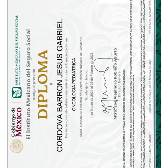 Ampliar imagen: certificate 4