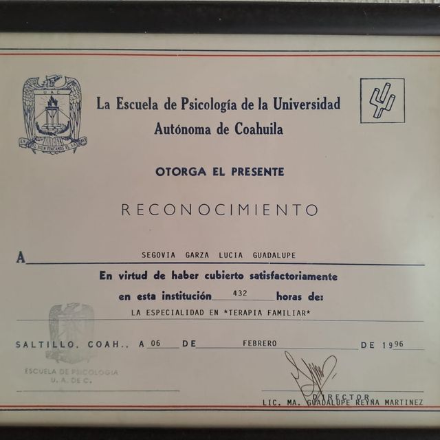 Ampliar imagen: certificate 8