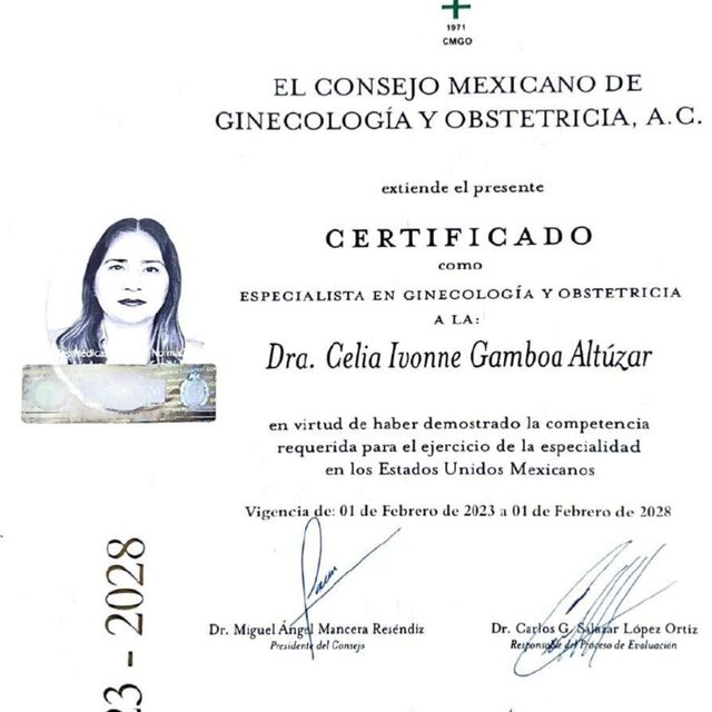 Ampliar imagen: certificate 1