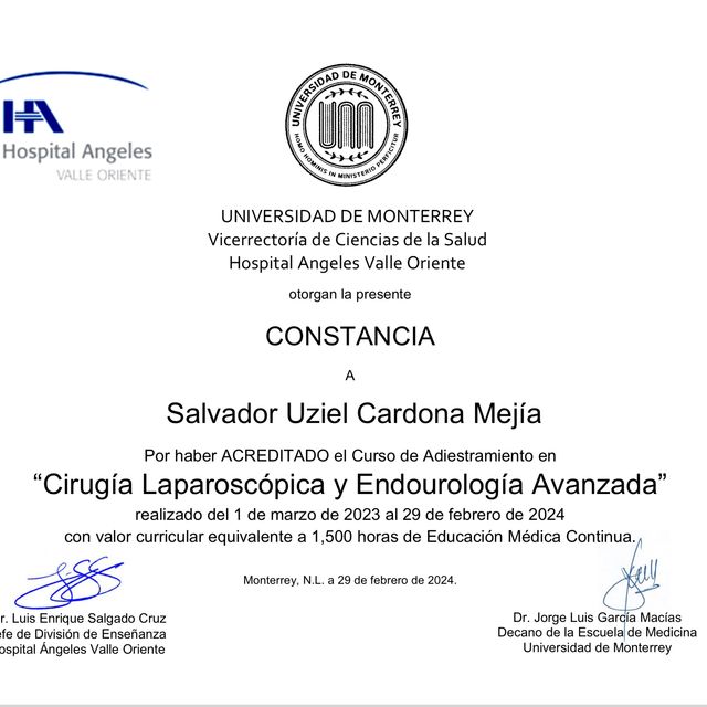 Ampliar imagen: certificate 3