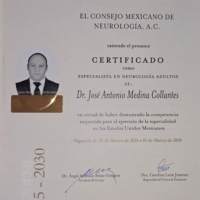 Ampliar imagen: certificate 1