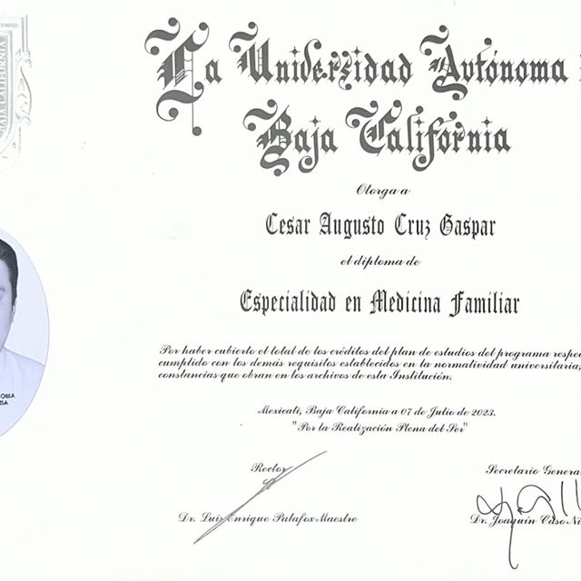 Ampliar imagen: certificate 2