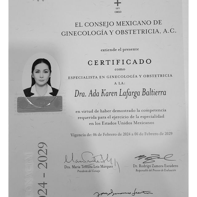 Ampliar imagen: certificate 2