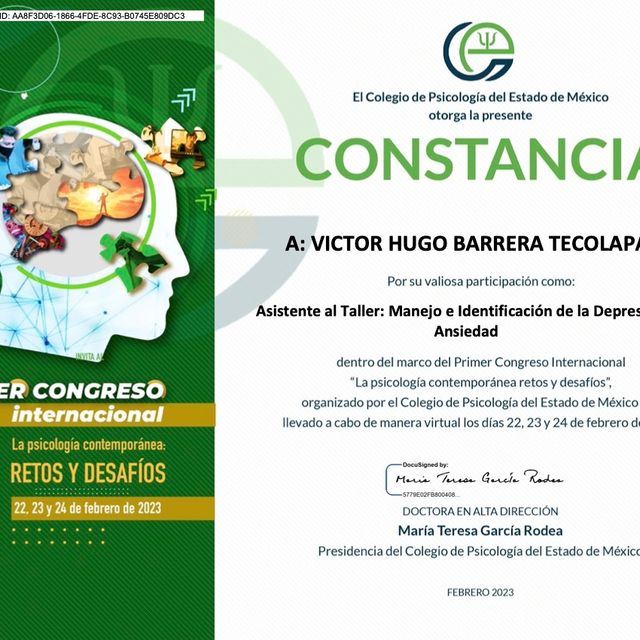 Ampliar imagen: certificate 55