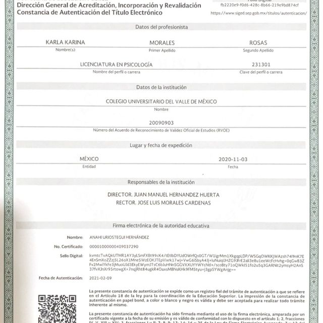 Ampliar imagen: certificate 2