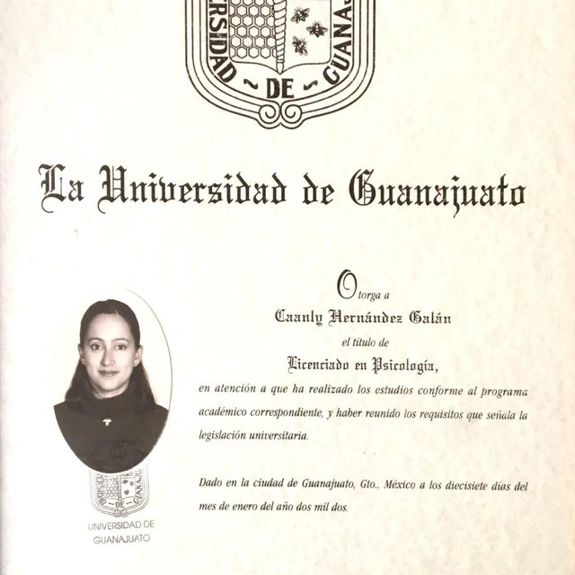 Ampliar imagen: certificate 5